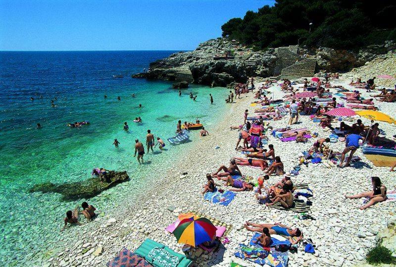 Apartma Ivankovic*** *