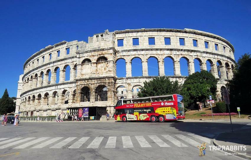 Ivankovic*** * Pula